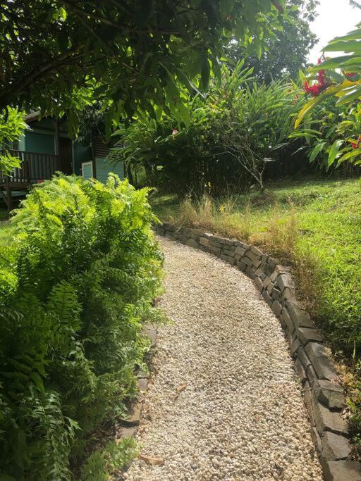 Saint-Joseph Charmant Bungalow Avec Piscine מראה חיצוני תמונה